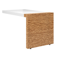 Брифинг приставка Tokyo