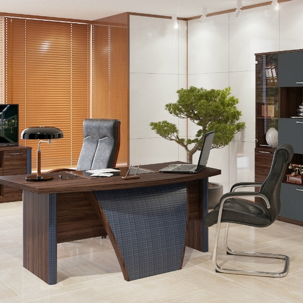 Кабинет руководителя Луна