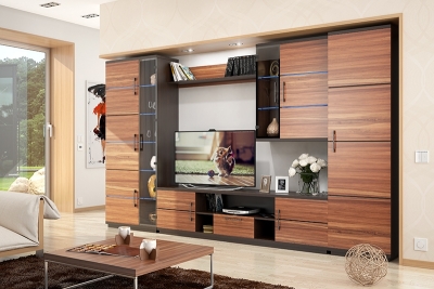 Гостиная Катрин